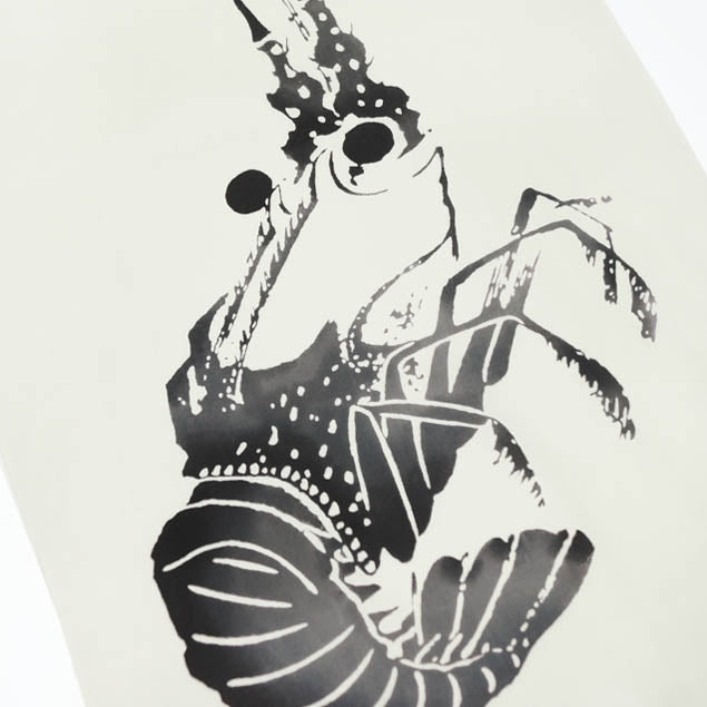 ec-____2_511718e9-24e1-47d7-